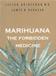 Psychedelic Literature available through MAPS