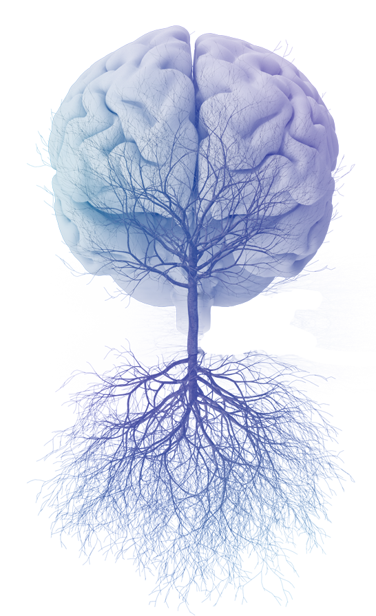 MAPS-roots-mind-vision-tree – Multidisciplinary Association for ...